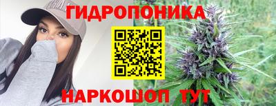ешки Камышлов