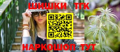 ешки Камышлов
