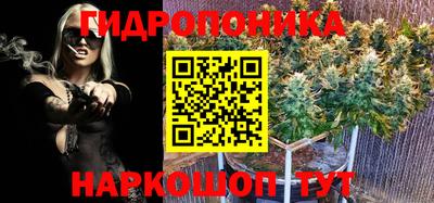 прущий лед Канаш