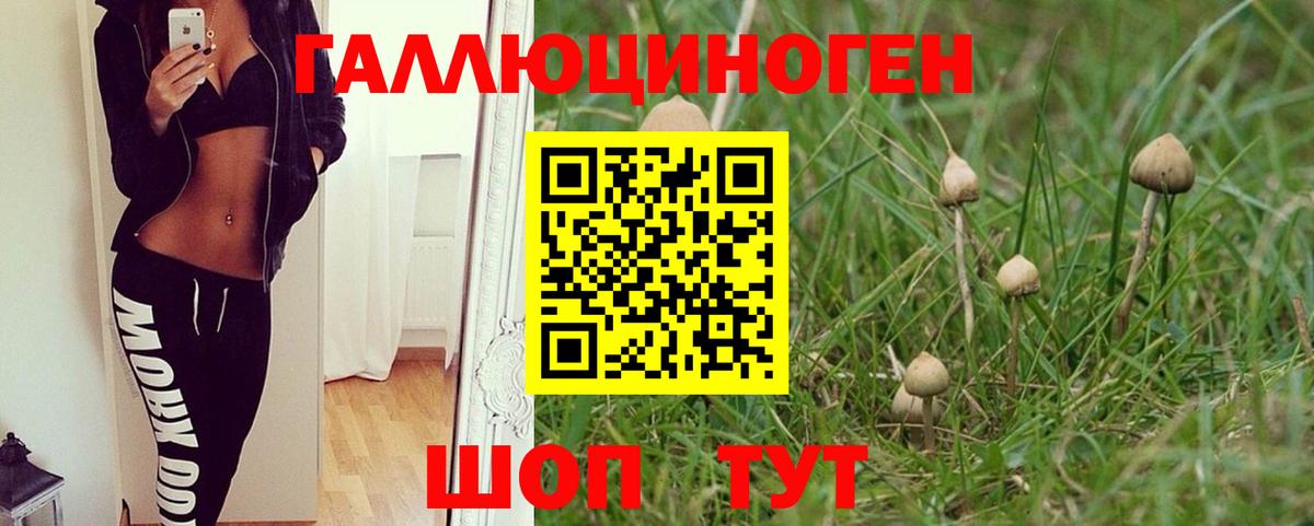 Псилоцибиновые грибы Magic Shrooms  Вход с VPN  Черкесск  Галлюциногенные грибы Magic Shrooms 